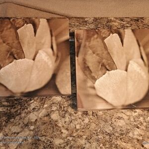 Floral Canvas Art Set in Brown and Cream